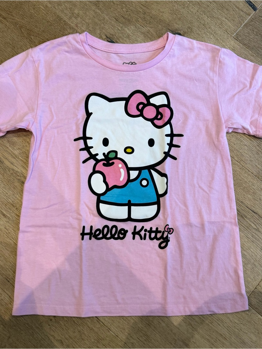 Hello Kitty Pink Tee with Blue Outfit Graphic